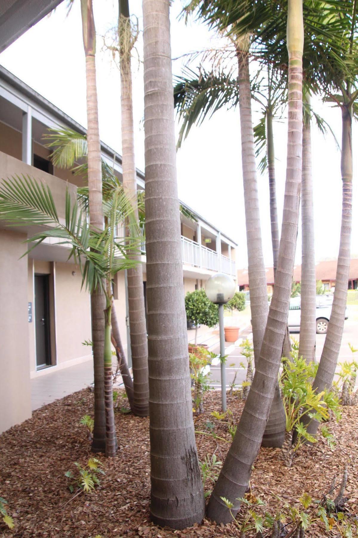The Galaxy Motel Gosford Exterior photo